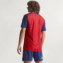 Spain 2026 home - Fan Version