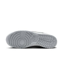 Nike Dunk Low  SE SUMMIT WHITE/METALLIC SILVER-GLACIER ICE HQ3619-121