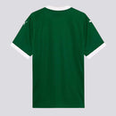 CAMISAS DE FUTEBOL PUMA DO PALMEIRAS 2025/26 - VERSÃO TORCEDOR